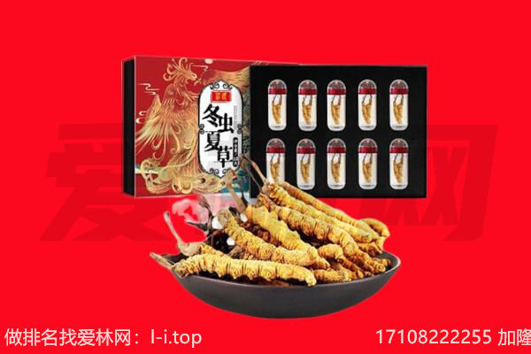 天津市宝坻回收虫草.jpg